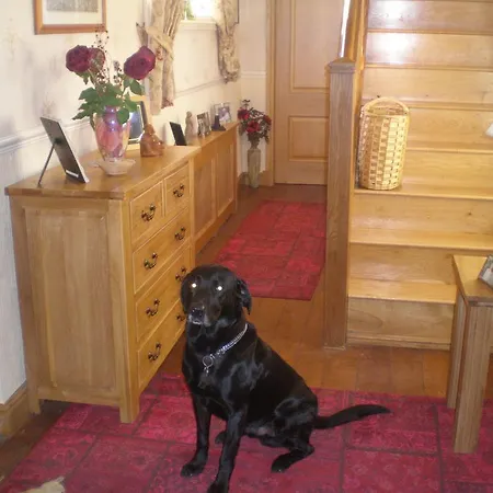 Bed & Breakfast The Old School And Betty's 4*
